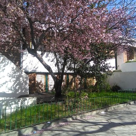 Ciruelo En Flor Trelew Exterior photo